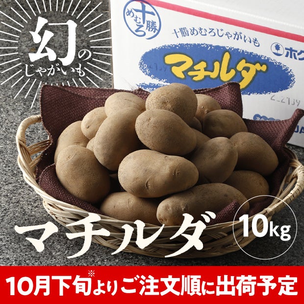JAめむろ マチルダLサイズ 10kg