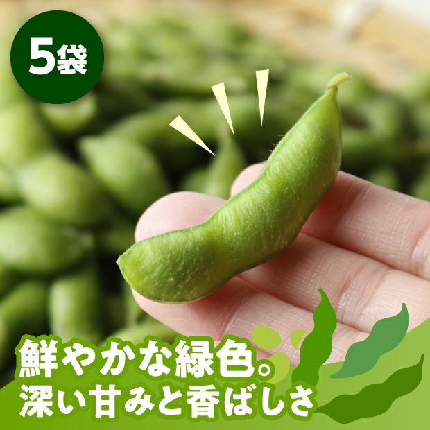 えだまめ3箱セット 楽天市場】段ボールのみ 【オリジナル】新潟産 枝豆 段ボール 3kg（白