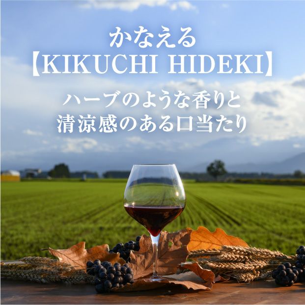 畑ごとのワイン赤ワイン 山幸～KIKUCHI HIDEKI