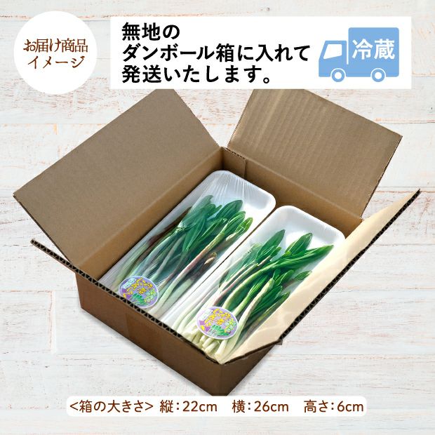 行者にんにく苗 100本北海道産天然　根付き 22日で春苗終了！8年物 100本 行者にんにくの苗根 | 南蔵王 七ヶ宿農園