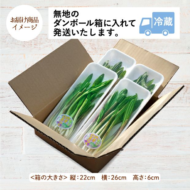 十勝産 行者にんにく200g 十勝 村瀬ファーム｜野菜｜食べレア北海道