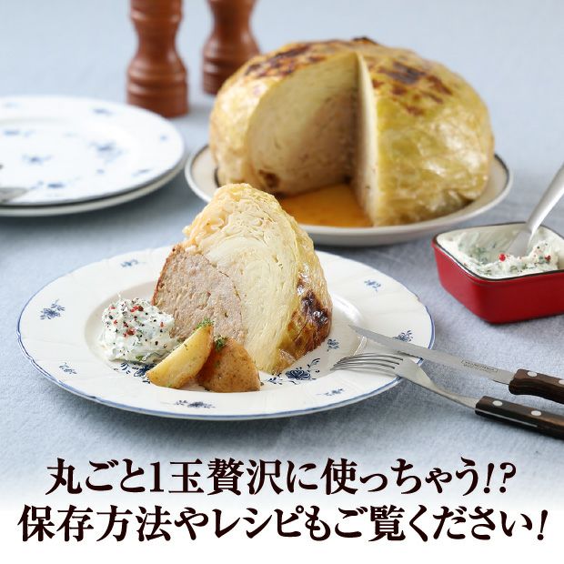 雪の下キャベツの千切り