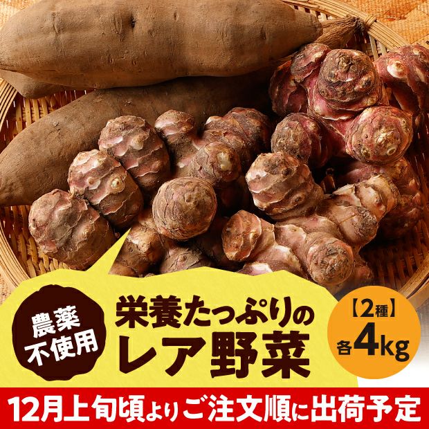 北海道産ヤーコン・菊芋セット各4kg 空知 余湖農園｜野菜｜食べレア