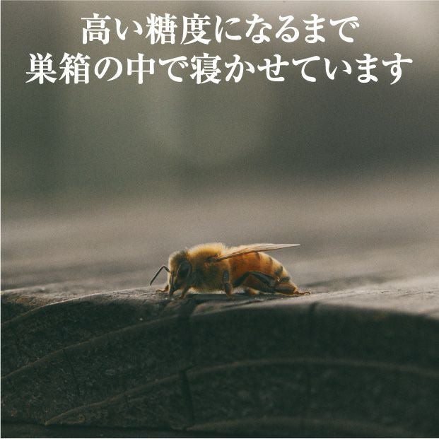 旅する蜂蜜【アカシア】 1kg 十勝 有限会社十勝養蜂園｜加工食品 食
