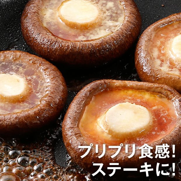 熟成培養生しいたけ バラ1kg 釧路 上尾幌きのこ生産協同組合｜椎茸