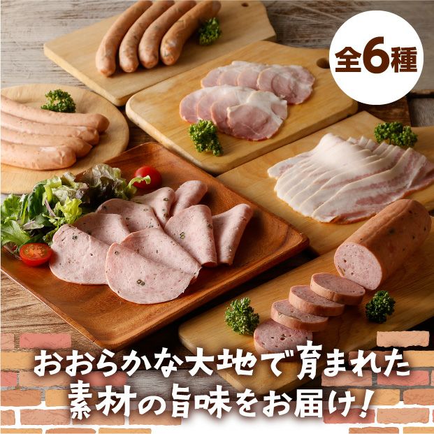 超希少　当時物　ホークアロー　5体　フルセット 十勝のおくりものBセット｜加工肉｜北海道 十勝 産直 お取り寄せ｜ 食