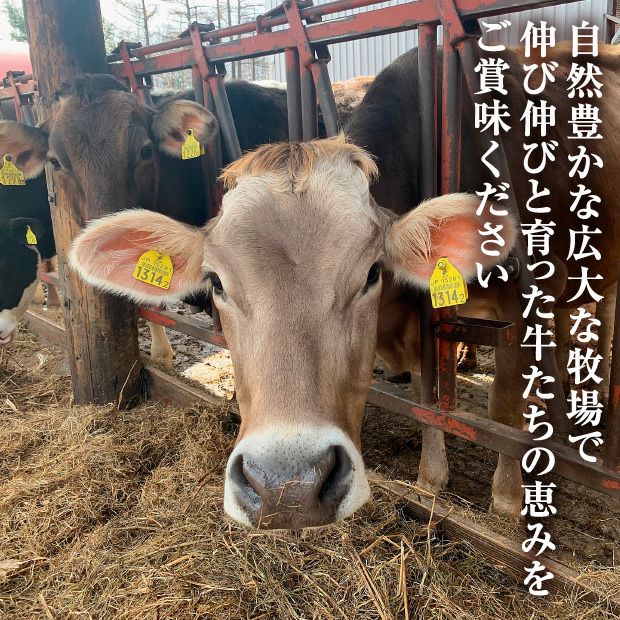 十勝アルプス牧場】牧場のアイス8個セット十勝 ｜乳製品｜食べレア