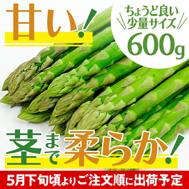 新鮮で美味しそうなグリーンアスパラ