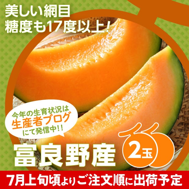 熟してとても美味しそうな赤肉メロン