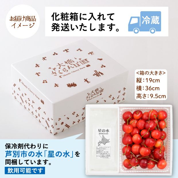 さくらんぼ 生さくらんぼ佐藤錦500g｜空知 大橋さくらんぼ園｜さくらんぼ｜食べ