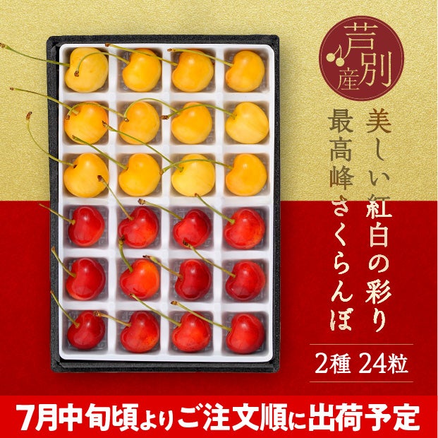 箱の中の仕切りに一つ一つきれいに並んだ赤と黄色の24粒のさくらんぼ