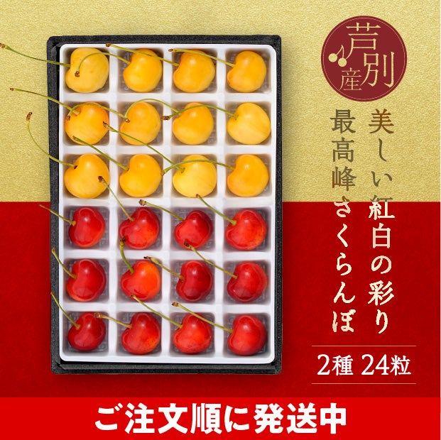 箱の中の仕切りに一つ一つきれいに並んだ赤と黄色の24粒のさくらんぼ