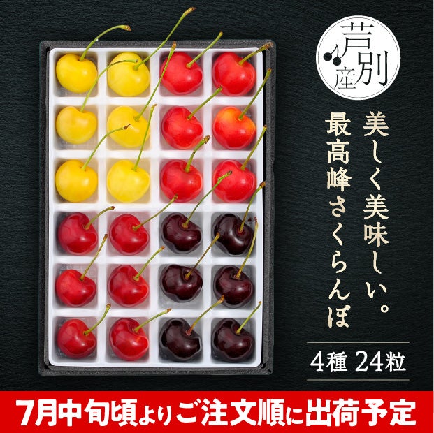 箱の中の仕切りに一つ一つきれいに並んだ24粒のさくらんぼ