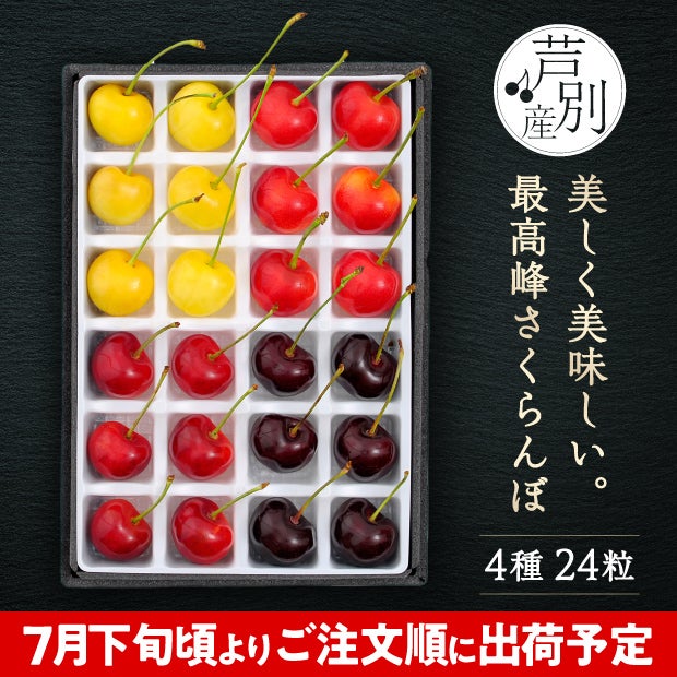 箱の中の仕切りに一つ一つきれいに並んだ24粒のさくらんぼ