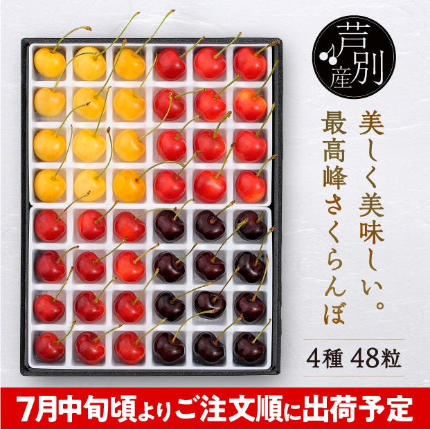 箱の中の仕切りに一つ一つきれいに並んだ48粒のさくらんぼ
