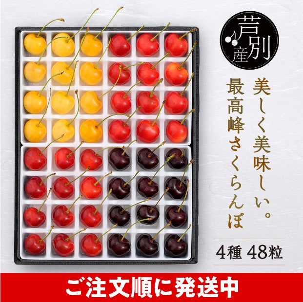 箱の中の仕切りに一つ一つきれいに並んだ48粒のさくらんぼ