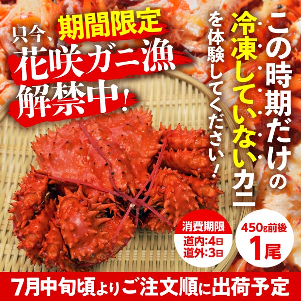 とれたて　浜茹で(未冷凍)花咲ガニ(オス)　1尾