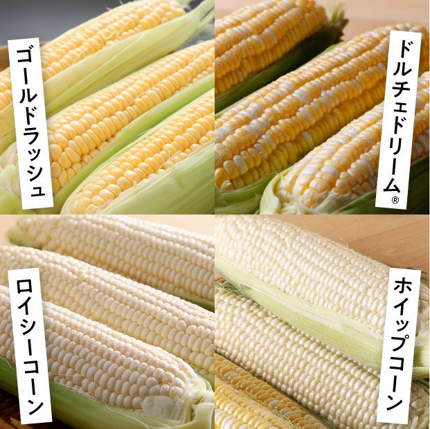 おまかせ6本2L｜上川 けんぶちVIVAマルシェ｜とうもろこし｜食べレア