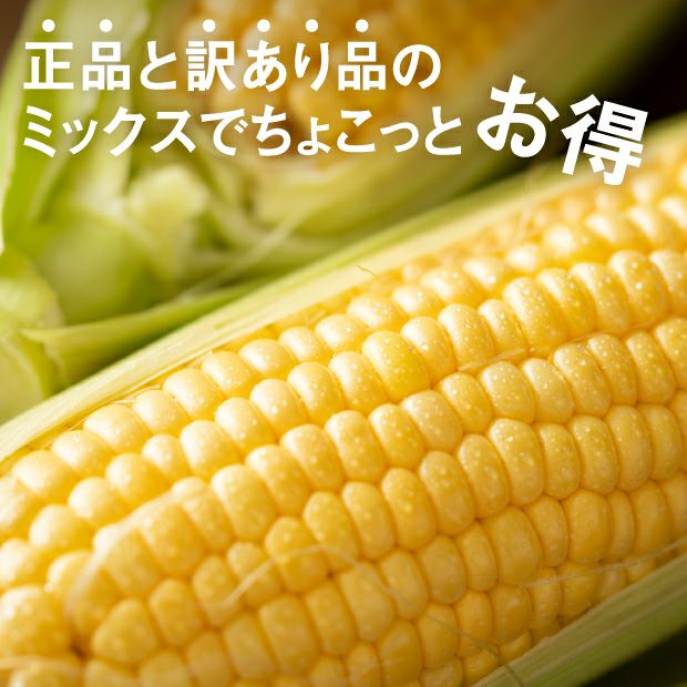 とても美味しそうなとうもろこしのアップ