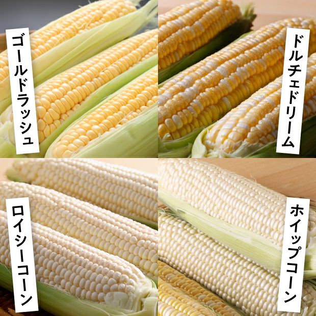 美味しそうな4種のとうもろこし
