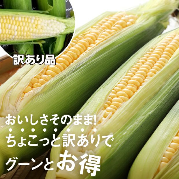 訳あり10本｜上川 けんぶちVIVAマルシェ｜とうもろこし｜食べレア