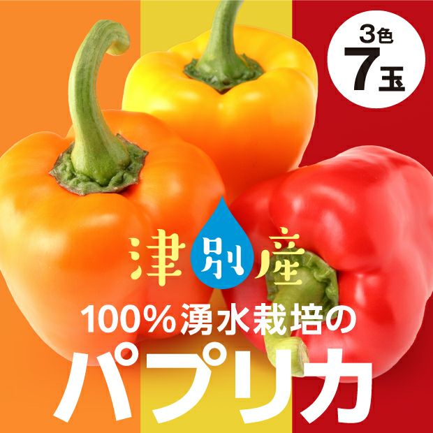 3種のパプリカセット（7玉）｜オホーツク ナツやさい｜野菜｜食べレア
