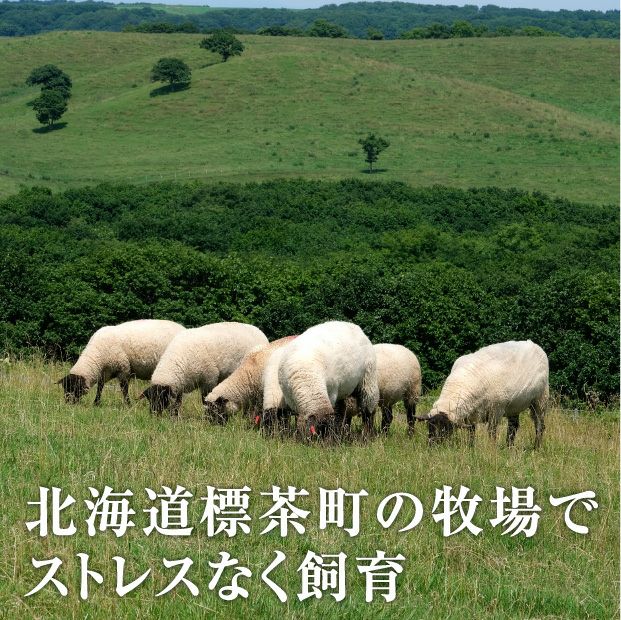 標茶サフォークお試し食べ比べセット｜食べレア北海道 物産 お取り寄せ