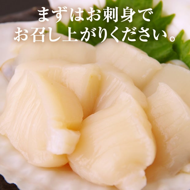 宗谷産 殻付き活ホタテ2kg※専用ヘラ付き