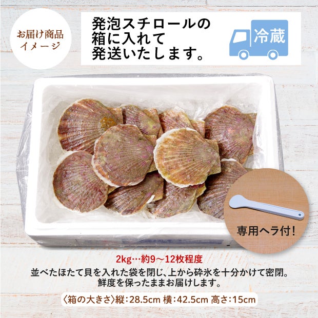 宗谷産 殻付き活ホタテ2kg(9～12枚) ※専用ヘラ付き｜食べレア北海道
