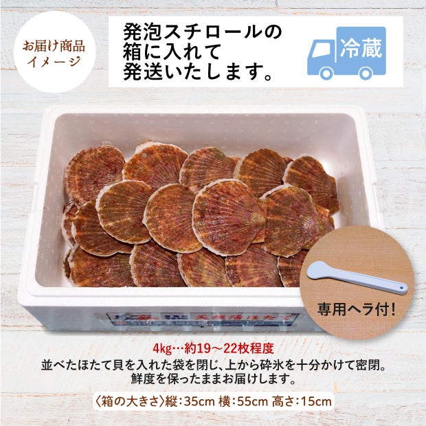 宗谷産 殻付き活ホタテ4kg(約19～21枚) ※専用ヘラ付き