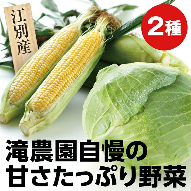 とても美味しそうな滝農園のとうもろこしとキャベツ