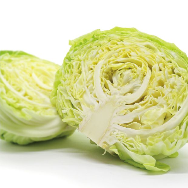 葉がびっしり詰まったキャベツの断面