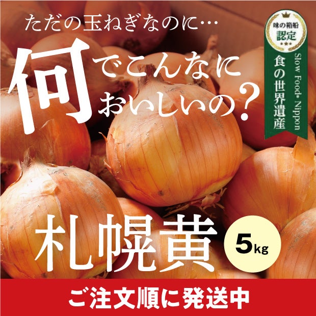 札幌黄玉ねぎ5kg｜石狩 たまみ農園｜野菜 玉ねぎ｜食べレア北海道 物産