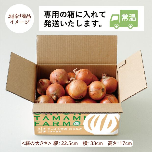 札幌黄玉ねぎ5kg｜石狩 たまみ農園｜野菜 玉ねぎ｜食べレア北海道 物産