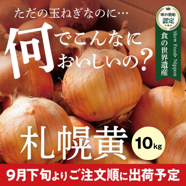新鮮でとても美味しそうなたまみ農園の黄玉ねぎ