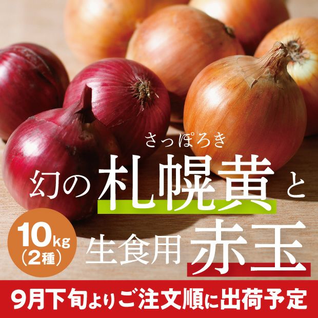 新鮮でとても美味しそうな札幌黄玉ねぎと赤玉ねぎ