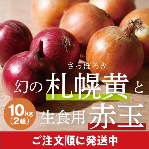 新鮮でとても美味しそうな札幌黄玉ねぎと赤玉ねぎ