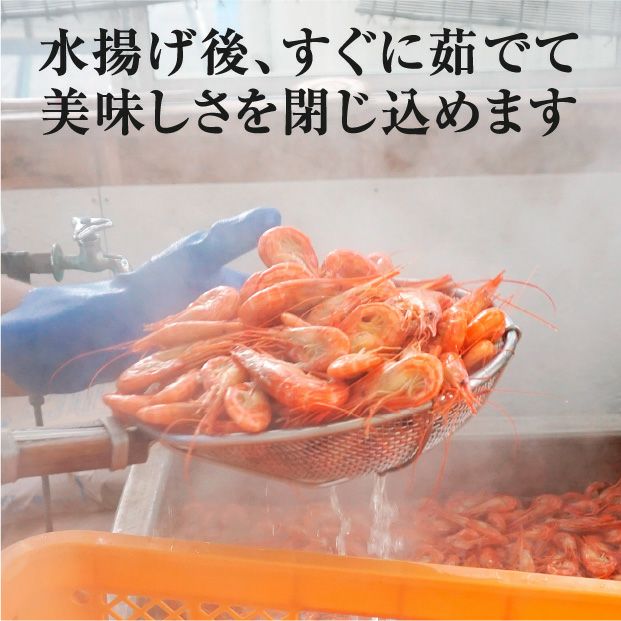 冷凍】浜茹 北海しまえび 大サイズ 500g 海鮮｜食べレア北海道 通販 お
