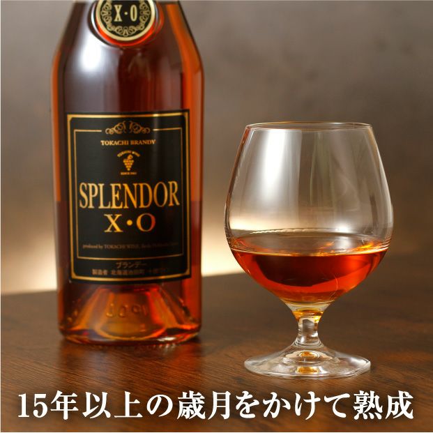十勝ワイン城ブランデーX.O. 酒類 ブランデー｜食べレア北海道 物産 お