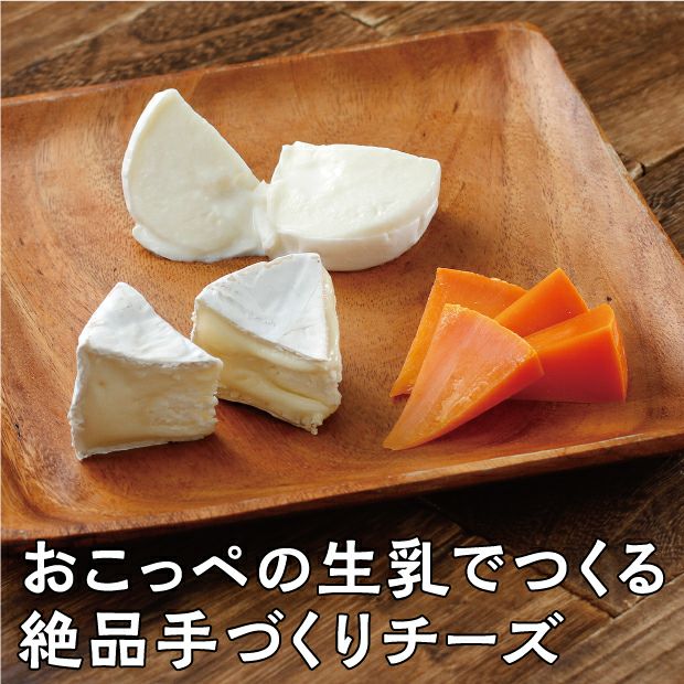 チーズ オホーツクのチーズセットD｜オホーツク アドナイ｜チーズ｜食べレア