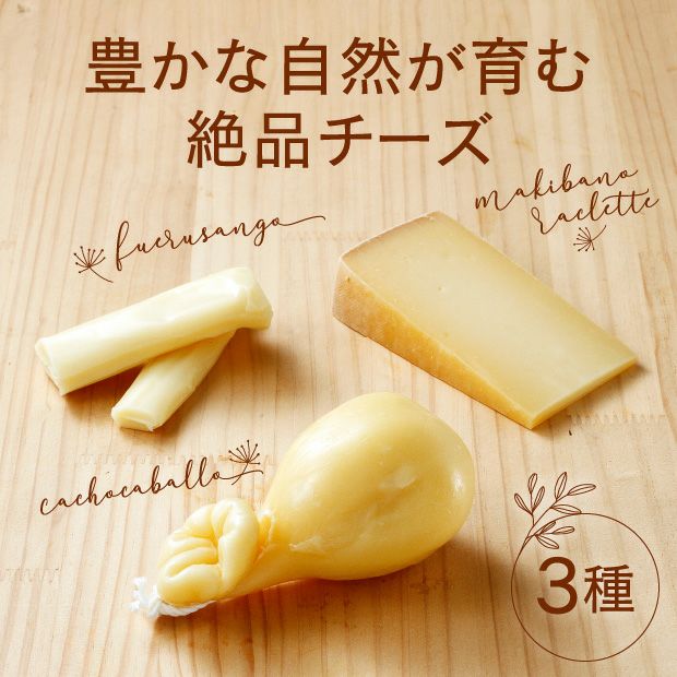 黄色いチーズセット｜きた牛舎 ｜ チーズ｜お取寄せ 食べレア北海道