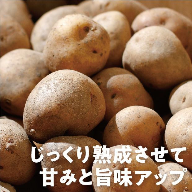 剣淵産 インカのめざめ1kg｜上川 けんぶちVIVAマルシェ｜お取り寄せ