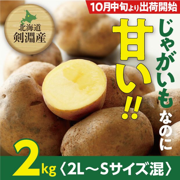 インカの目覚め じゃがいも 訳あり 北海道 十勝産 インカのめざめ 10kg