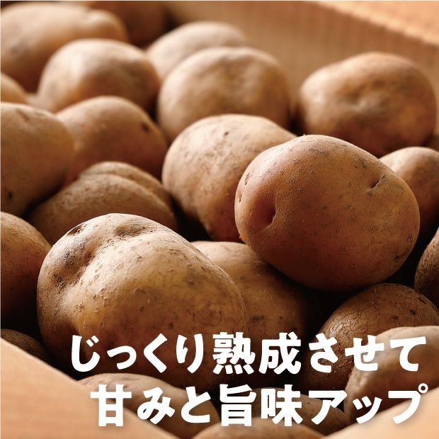 剣淵産 インカのめざめ5kg｜上川 けんぶちVIVAマルシェ｜お取り寄せ