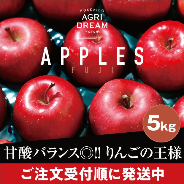 色艶よくとても美味しそうな北海道アグリドリームのサンふじりんご