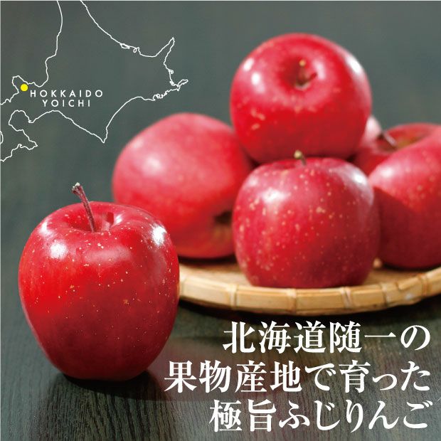 余市産ふじりんご10kg｜後志 北海道アグリドリーム｜お取り寄せ 食べ