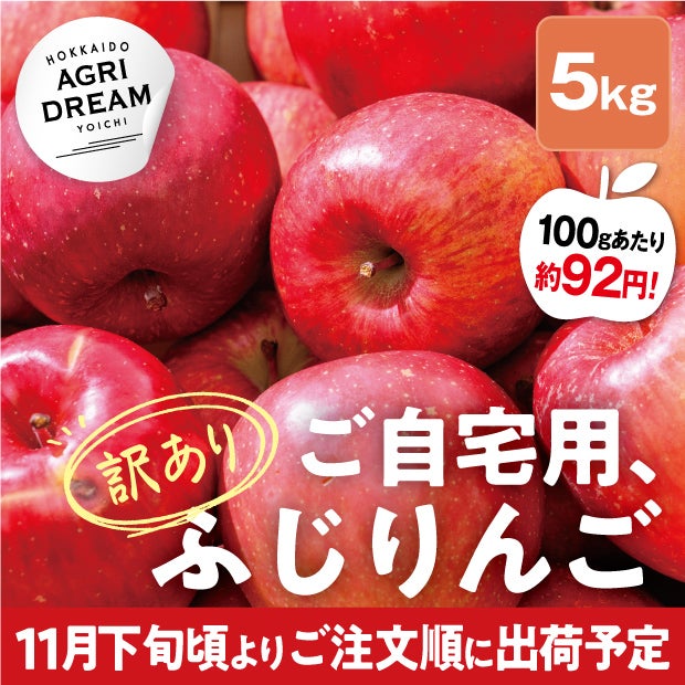 美味しそうな北海道アグリドリームのサンふじりんご