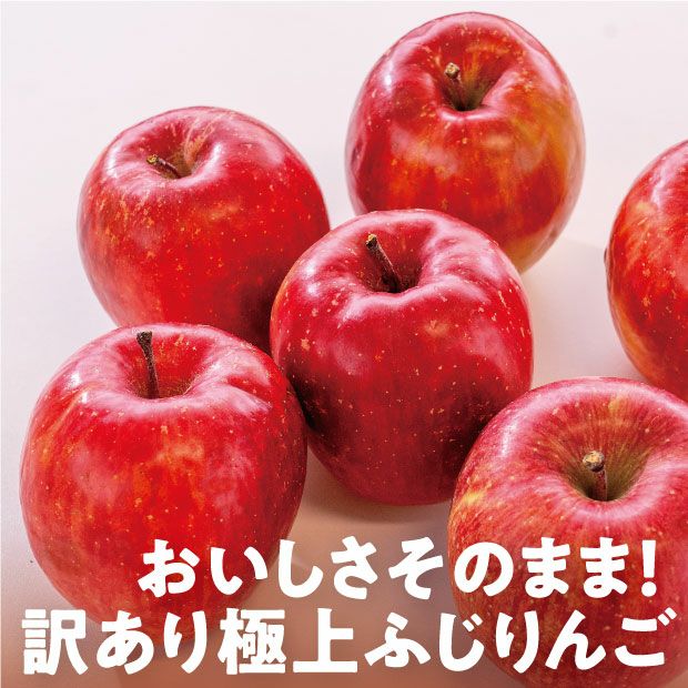余市産訳ありふじりんご5kg｜後志 北海道アグリドリーム｜お取り寄せ
