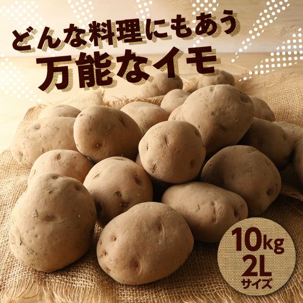 【数量限定】十勝・芽室産じゃがいも「さやあかね」 ２Ｌ規格
