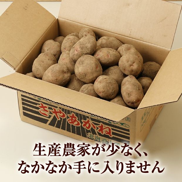 【数量限定】十勝・芽室産じゃがいも「さやあかね」 ２Ｌ規格